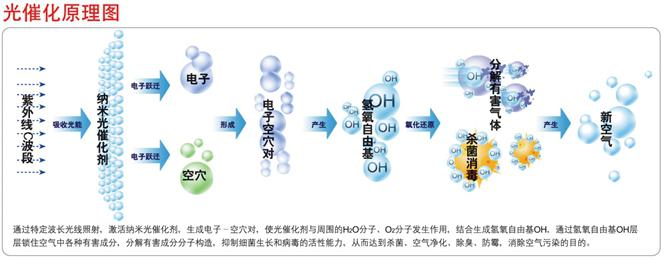 光觸媒、生物酶除甲醛【佛山】